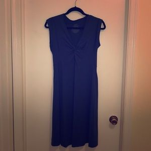 Patagonia blue dress